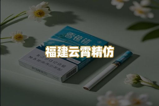 福建云霄精仿